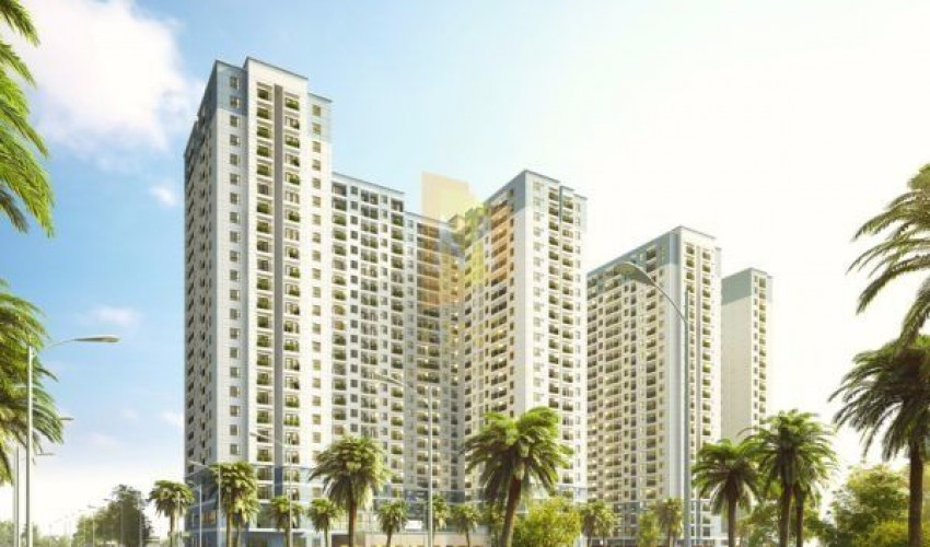 Hình ảnh sản phẩm
